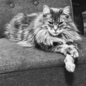 Meet your Posher, Tammy